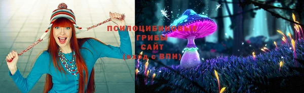 a pvp Абинск