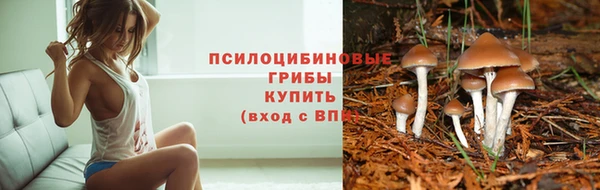 хмурый Осинники