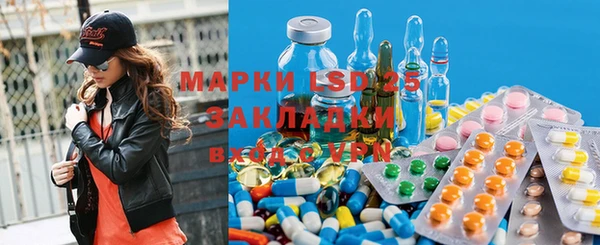 хмурый Осинники