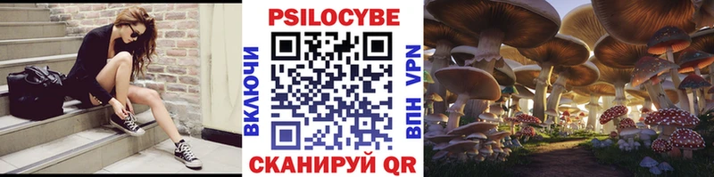 МЕГА ссылка  Кимовск  Псилоцибиновые грибы MAGIC MUSHROOMS 